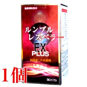 正規品】【送料無料】PYR FILING PLUS パイラ ファイリング プラス 45
