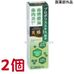 正規品】【送料無料】PYR FILING PLUS パイラ ファイリング プラス 45