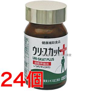 ウリ スカットプラス 24個 佐藤薬品 ウリス...の詳細画像4
