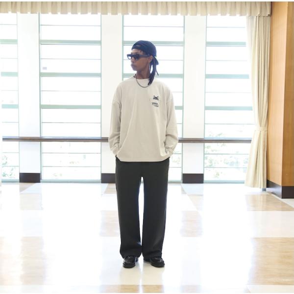 quolt クオルト　HIDDEN WOLF LS Tシャツ FROST GRAY 　（ネコポス発送...