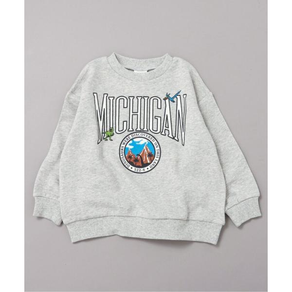 【ブリーズ】WEB限定 カレッジバリエーショントレーナー