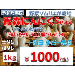 青森　にんにくＳサイズ　1ｋｇ　令和元年産　　青森県産　生産者直売　土なし根削り済　野菜ソムリエ　が栽培　出店記念品