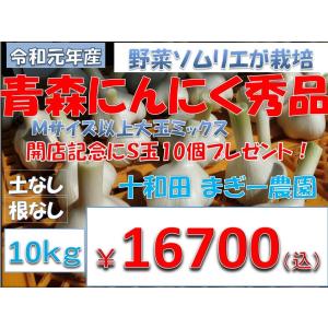 青森　にんにく秀品　10ｋｇ　令和元年産　　青森県産　生産者直売　土なし根削り済　　野菜ソムリエ　が栽培　出店記念品