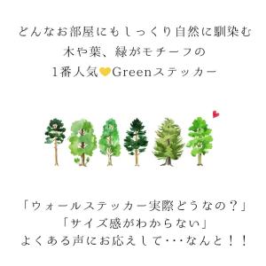 ウォールステッカー 植物 お試し おためし は...の詳細画像1