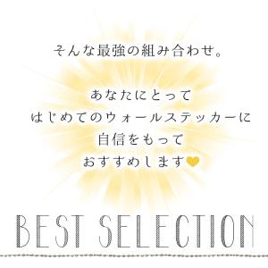 ウォールステッカー 植物 お試し おためし は...の詳細画像3