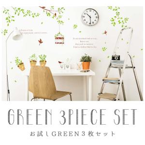 ウォールステッカー 植物 お試し おためし は...の詳細画像4