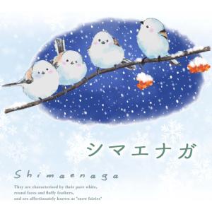 ウォールステッカー 鳥 シマエナガ 【みまもり...の詳細画像3