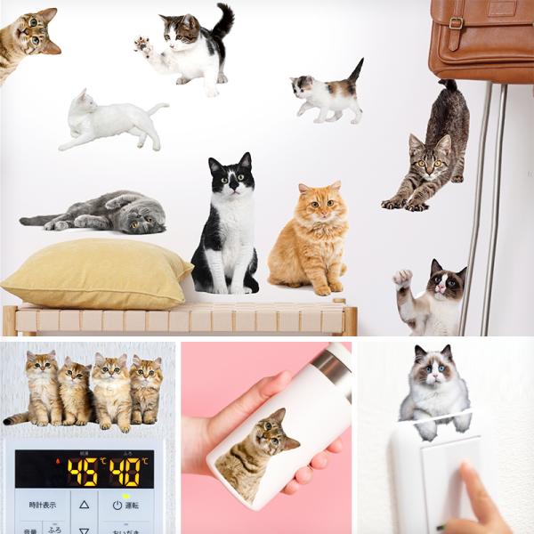 ウォールステッカー 飾り 動物 猫 ねこ 【にゃんこライフ】 はがせる 壁 シール おしゃれ 植物 ...