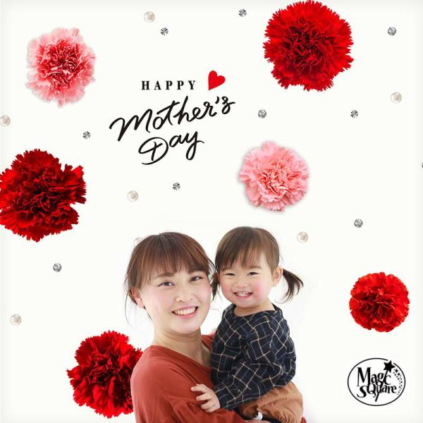 ウォールステッカー カーネーション 母の日 飾り 花 ギフト プレゼント