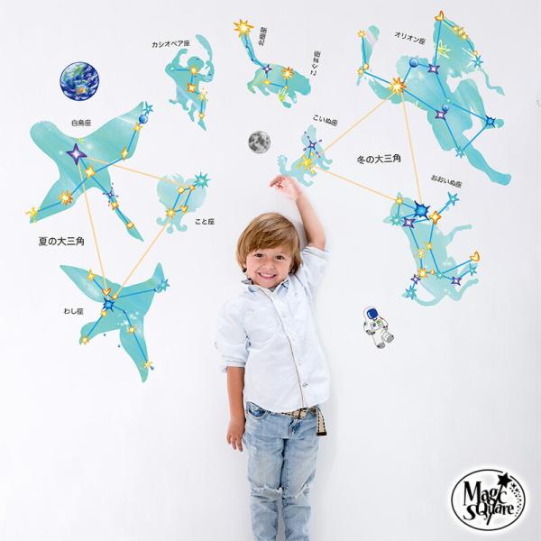 ウォールステッカー 星座の大図鑑 はがせる シール 壁紙 星座 プラネタリウム 飾り 星 夏 宇宙 ...