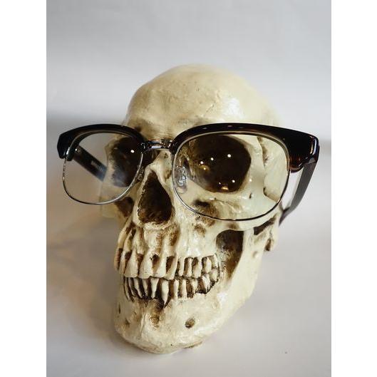 エフェクター EFFECTOR ディレイII メガネ delayII CO