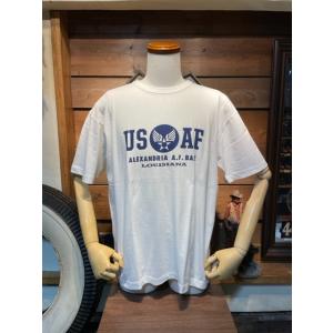 バズリクソンズ/BUZZ RICKSON'S Tシャツ BR79397 GOVERNMENT ISS...