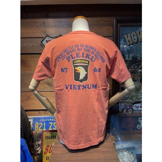 バズリクソンズ/BUZZ RICKSON'S Tシャツ BR79623 PLEIKU VIETNUM...