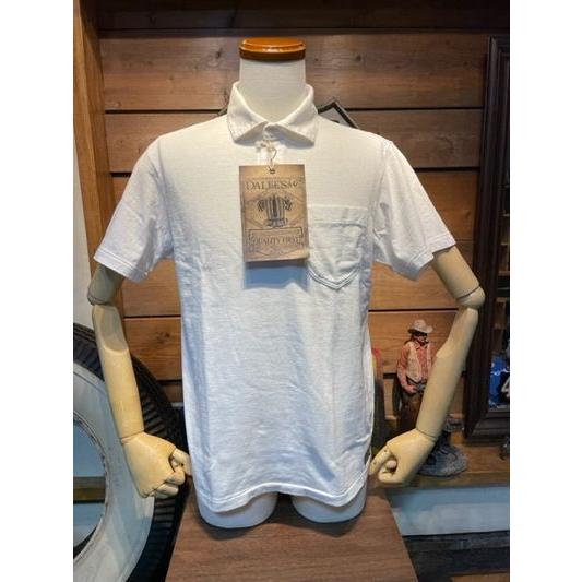 ダリーズ/DALEE’S &amp; CO ポロシャツ SCT30s...30s CLASSIC COLLA...