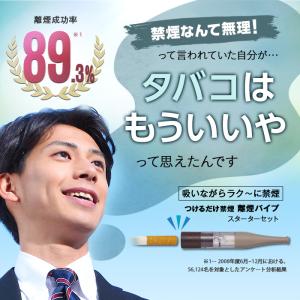 Rien pipe 離煙パイプ GR/GS 3...の詳細画像2