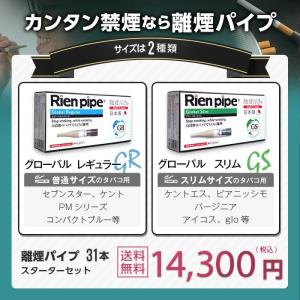 Rien pipe 離煙パイプ GR/GS 3...の詳細画像3