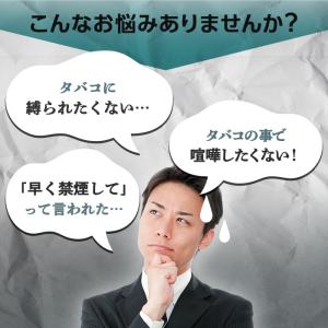 Rien pipe 離煙パイプ GR/GS 3...の詳細画像4