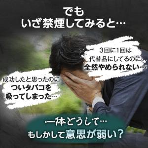 Rien pipe 離煙パイプ GR/GS 3...の詳細画像5