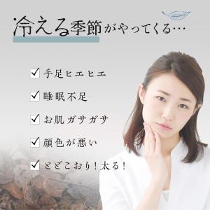 そば 蕎麦 そば粉 マジカルそば湯 蕎麦湯 イ...の詳細画像2