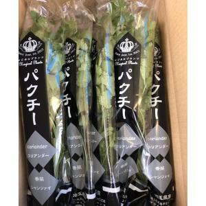 パクチー1kg