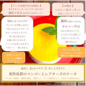 マンゴー 4号 5号 リボンラッピングタイプ ...の詳細画像1