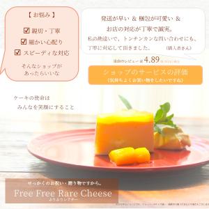 マンゴー 4号 5号 リボンラッピングタイプ ...の詳細画像3