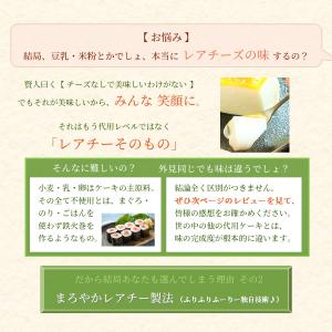 マンゴー 4号 5号 リボンラッピングタイプ ...の詳細画像5