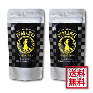 マジカルスパイス詰替2袋セット　袋110ｇ×2袋　