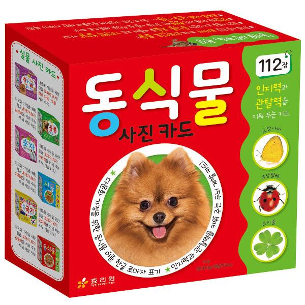 韓国語 幼児向け 本 『動植物の写真カード112枚』 韓国本