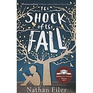The Shock of the Fall (Paperback)