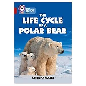 The Life Cycle of a Polar Bear : Band 14/Ruby (Pap...