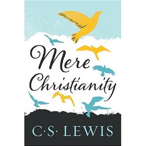 More Christianity (Paperback Deckle Edge)