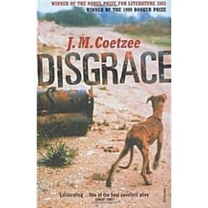 Disgrace: A BBC Radio 4 Good Read (Paperback)