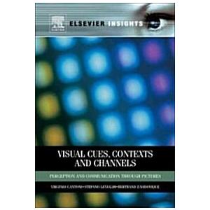 3C Vision: Cues Contexts and Channels (Hardcover)