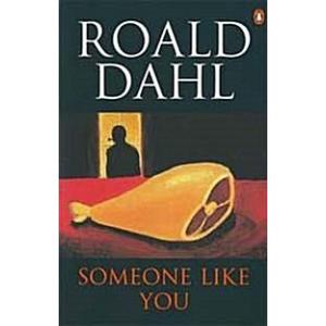 Someone Like You (Paperback)