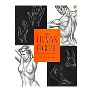 The Human Figure: An Anatomy for Artists (Paperbac...