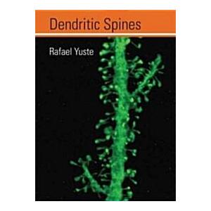 Dendritic Spines (Hardcover)