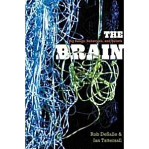 The Brain: Big Bangs Behaviors and Beliefs (Hardco...