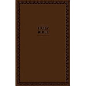 NIV Value Thinline Bible Large Print Imitation Lea...