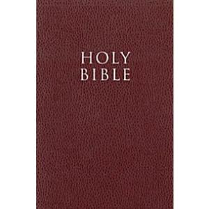 Holy Bible (Paperback)