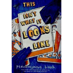 This Isn't What It Looks Like (Hardcover)