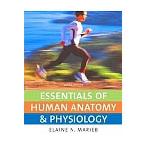 Essentials of Human Anatomy  Physiology (Paperback...