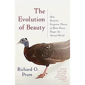The Evolution of Beauty: How Darwins Forgotten Theory of Mate Choice Shapes the Animal World - And Us (Paperback)の商品画像