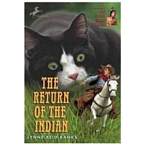 The Return of the Indian (Paperback)