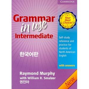 Grammar in Use Intermediate: Korean version (3rd E...