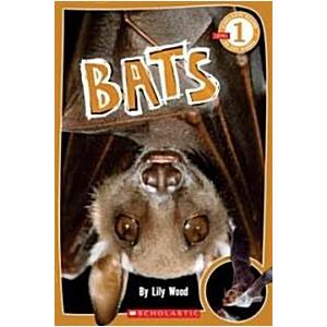 Bats (Paperback)