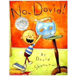 No David! (Paperback)