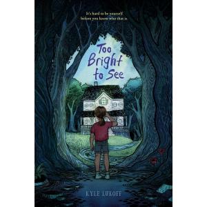 Too Bright to See (Paperback)