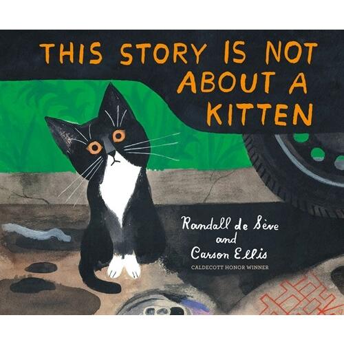 This Story Is Not About a Kitten (Hardcover)