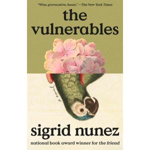 The Vulnerables (Paperback)